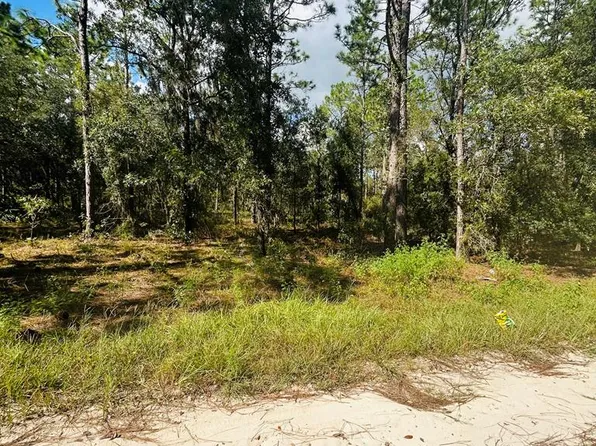 0000 SE 55th Ln, Morriston, FL 32668
