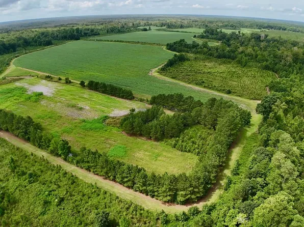 0 Brimerage Rd, Windsor, NC 27983