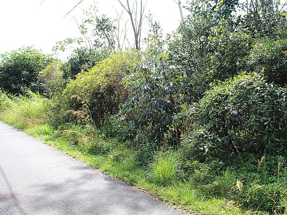 4th image of 7th Ave Lot 1081