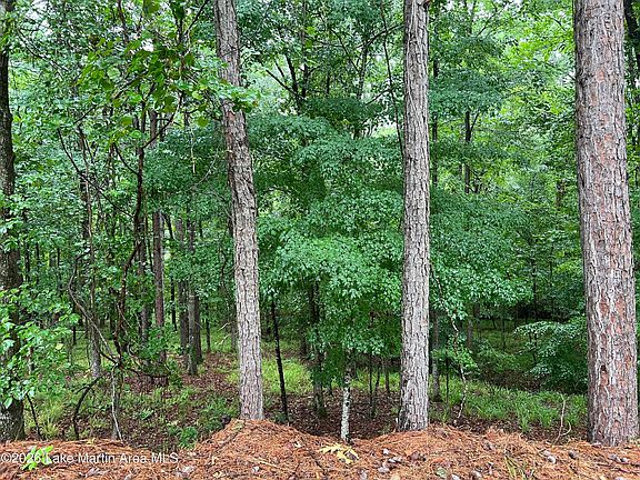 5th image of Lots 16 17 Myrtle Dr