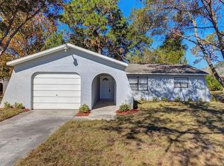 13229 Branchville Rd, Spring Hill, FL 34609