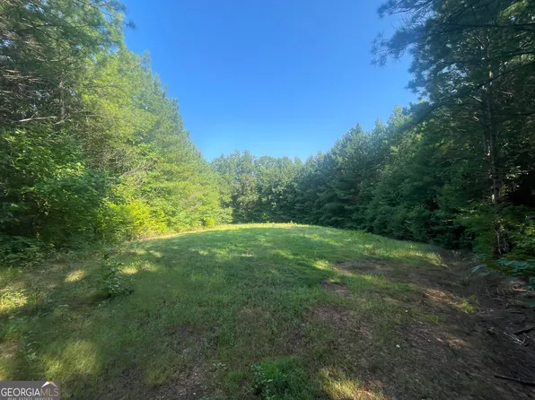 0 Hodge Creek Rd, Wadley, AL 36276