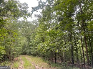 933 Apex Ct, Ranger, GA 30734