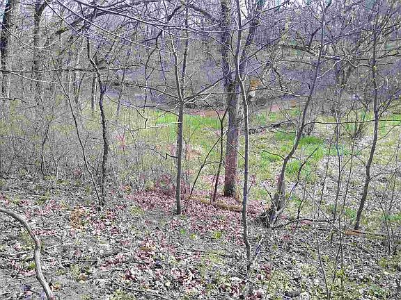 3rd image of L1 & 2 S Fern Dr