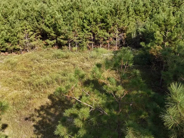 County Road 3121, Long Branch, TX 75669