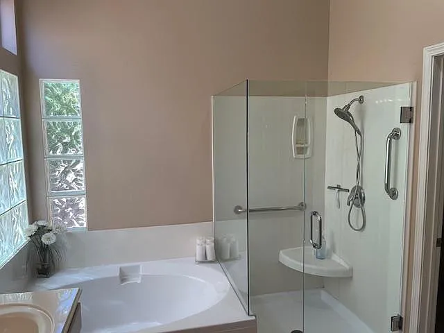 Master tub and shower