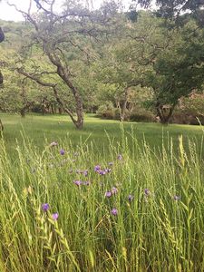 33 Lockton Ln, Novato, CA, 94945