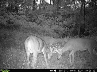 40 Acre Lot Walnut Lane #1241, 1242, Richland Center, WI 53581