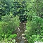 2nd image of LOT 1A Bowen Rd