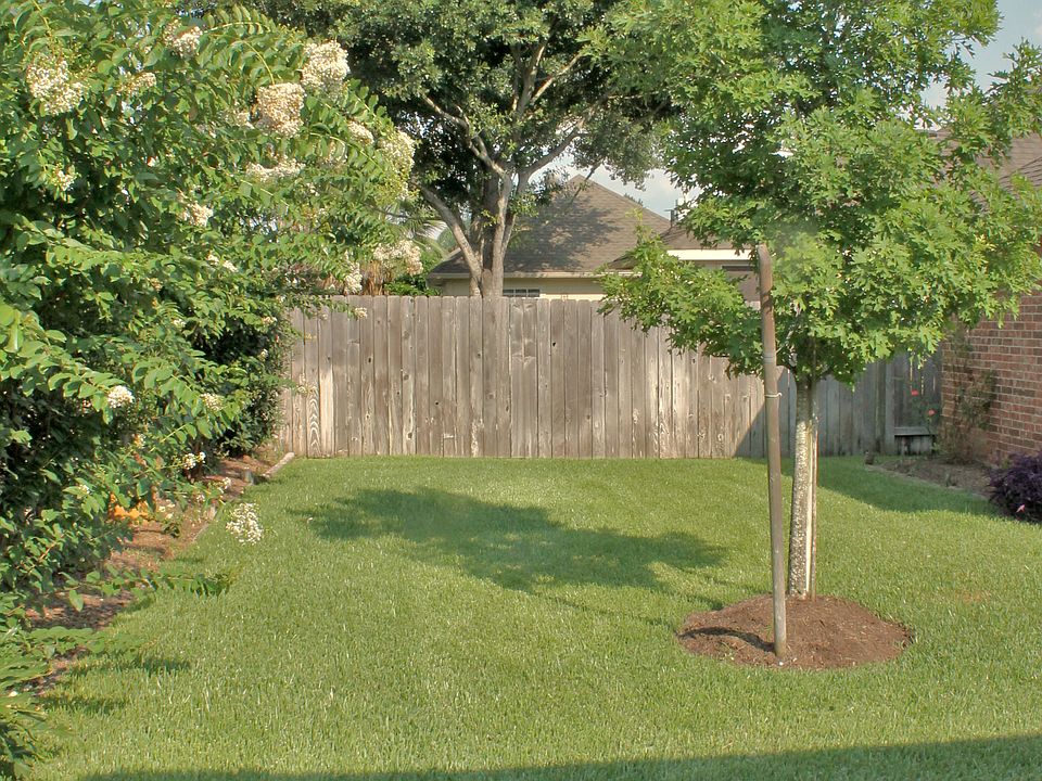 Backyard View