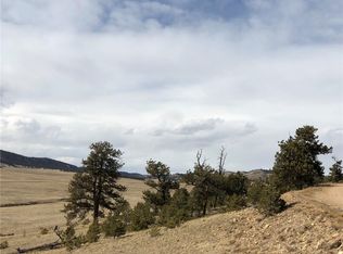 934 Larimer Dr, Hartsel, CO 80449