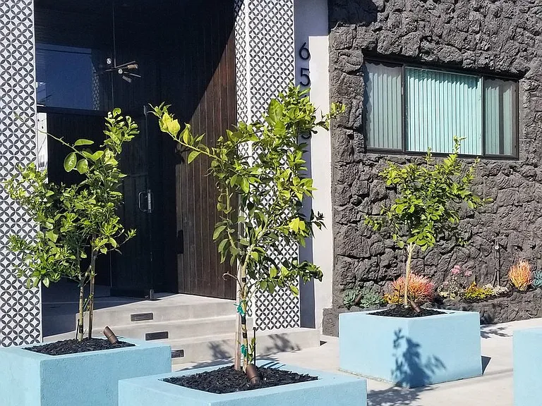 Bleu Apartments — Photo 26