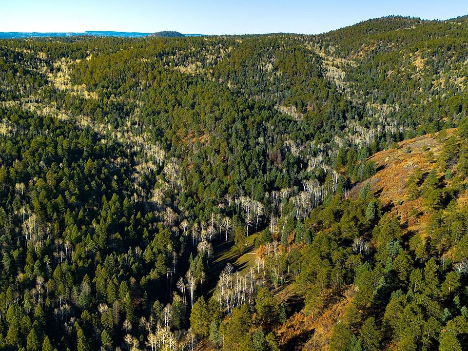Lower Montane Ranch Property Hero