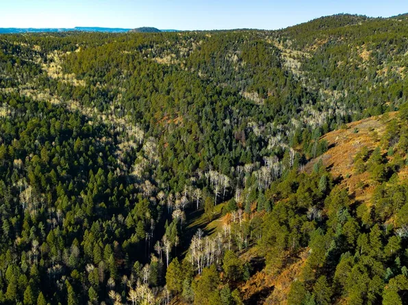 Fs 91, Tres Piedras, NM 87577