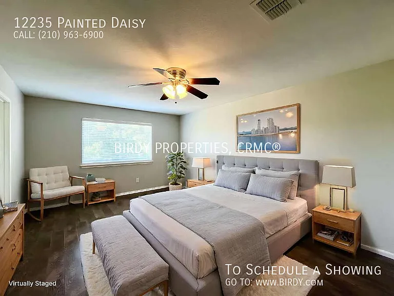 12235 Painted Daisy — Photo 5