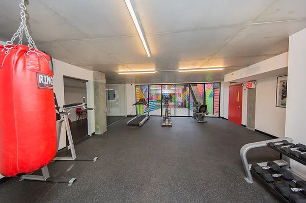 Rented by MNS | media 40