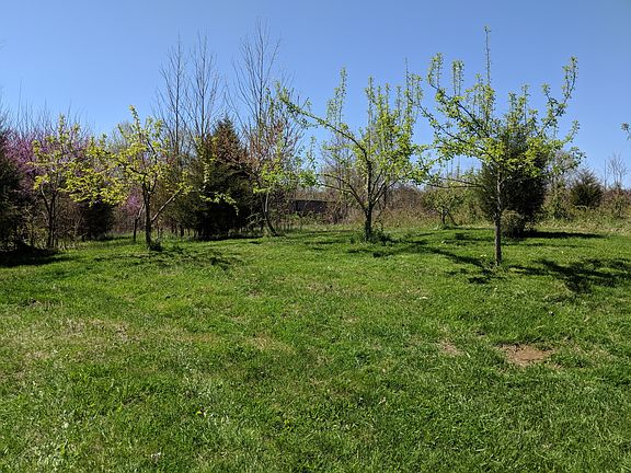 Producing Orchard