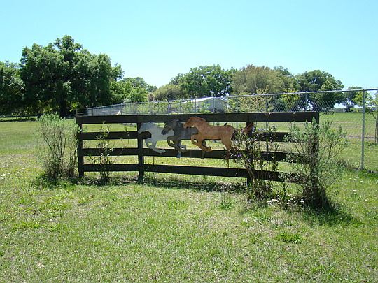 3rd image of 12034 Bellamy Brothers Blvd