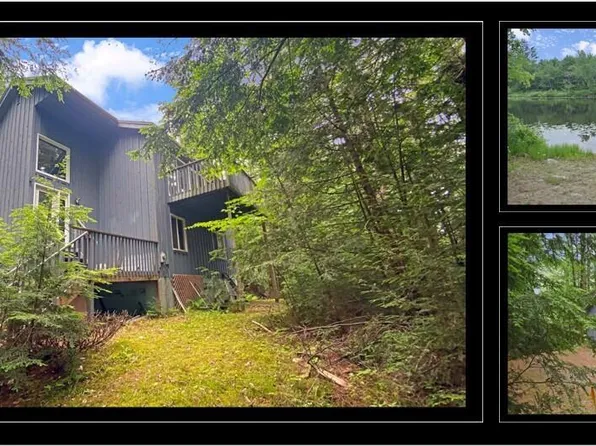 3312 E East Schroon River Road, Pottersville, NY 12860