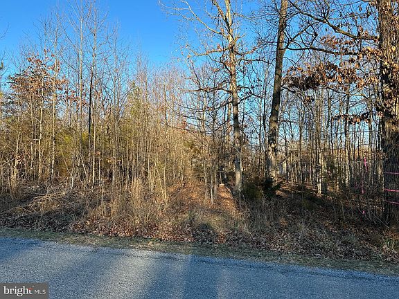 5th image of Woodland Dr