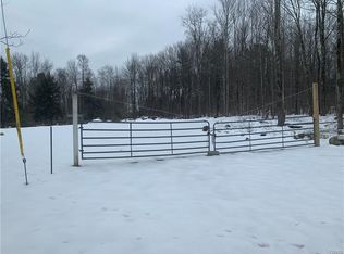 284 Holley Hole Rd, Constantia, NY 13044