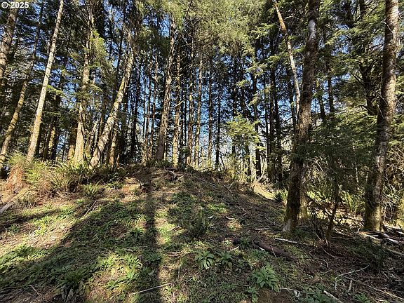 4th image of Fiddle Back Rd Lot 7