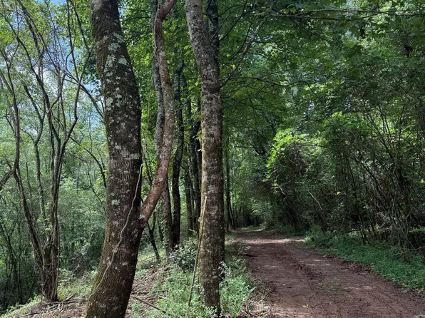 683 Jess Hunt Rd, Cleveland, GA 30528