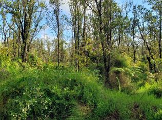 Omeka Rd, Volcano, HI 96785