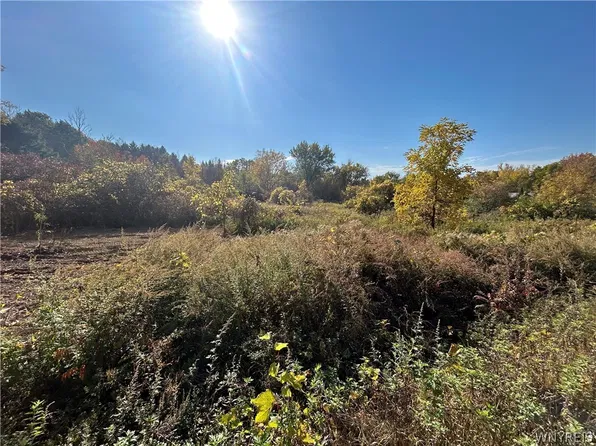 2381 Blakeley Rd Lot 8, South Wales, NY 14139