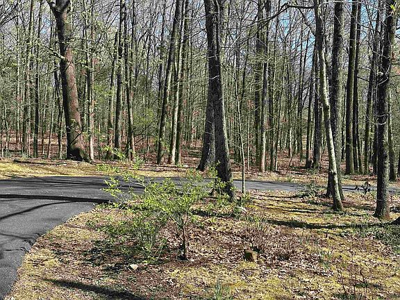 5th image of (Undisclosed Address)