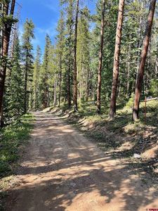 TBD Lime Conctact Lane, Pitkin, CO, 81241