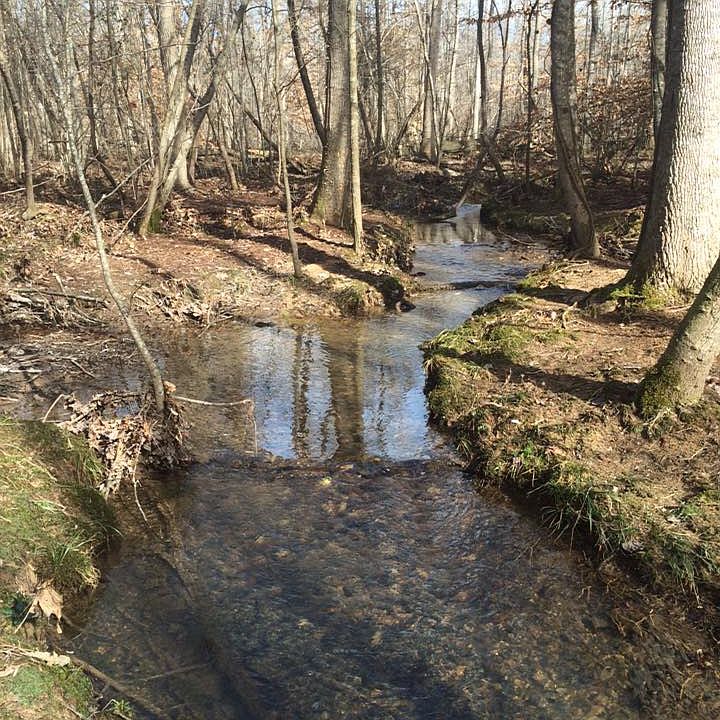 2nd image of 84 Old Quick Rd