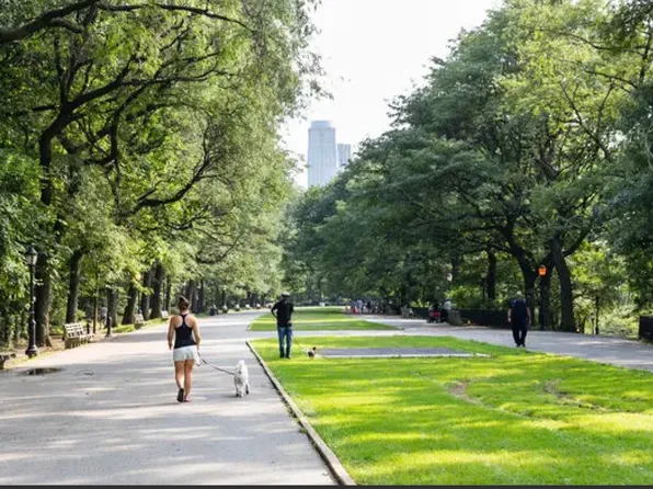 235 West 76th Street image 8 of 8