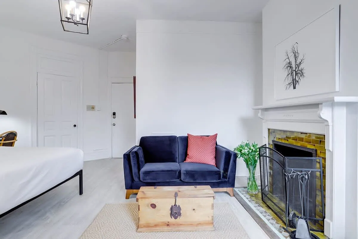 1 bed, 300 sqft, $3,000 — Photo 3