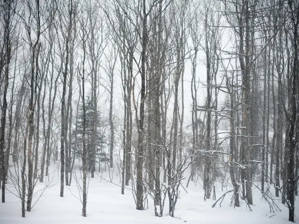 10 Issax Fox Road #D-10, Section 10, Campton, NH 03223