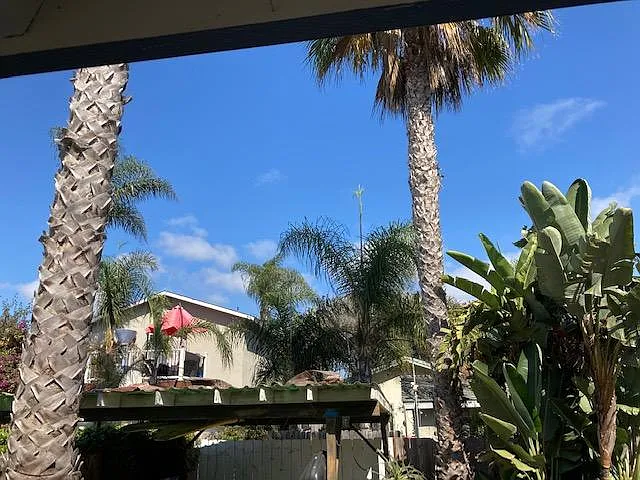 View from Slider facing the back yard.