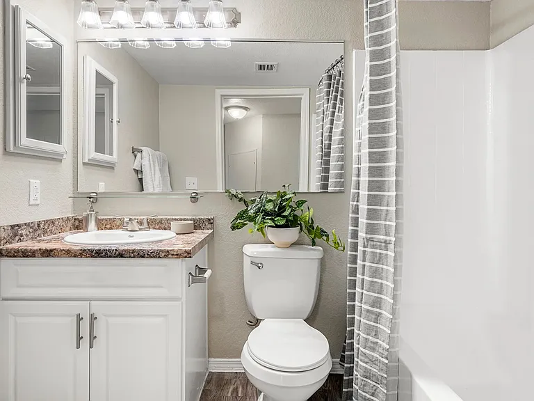 Brighten your day in a beautifully remodeled bathroom. Immerse yourself in vanity lighting, granite-styled counters, and mirrors that shine like stars.