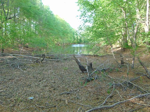 3rd image of 1206 Manley Rd
