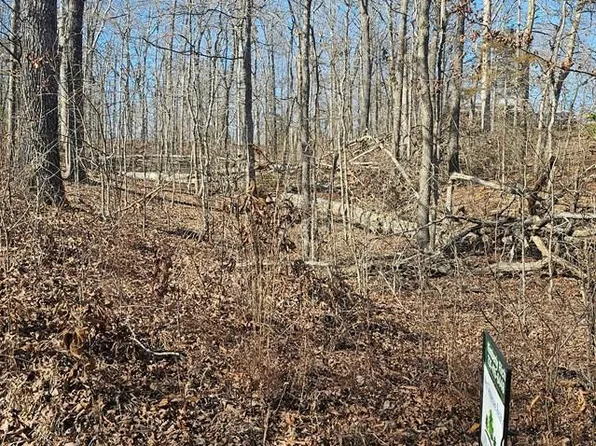 0 E Oak Dr, Buchanan, TN 38222