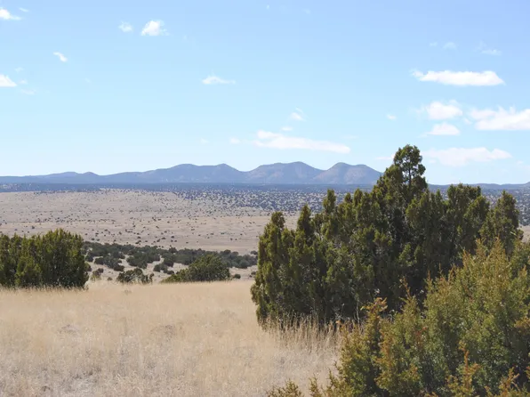 38 Lost Calf Ln, Magdalena, NM 87825