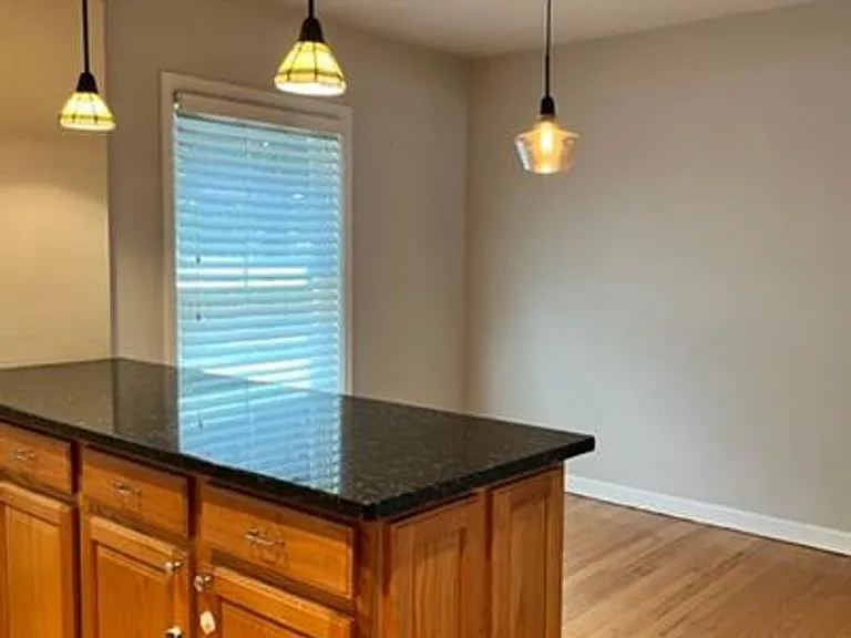 244 Elgin Ave #1 — Photo 3