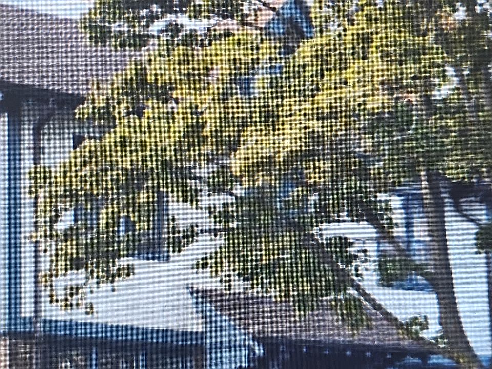 OUTSIDE VIEW OF PROPERTY