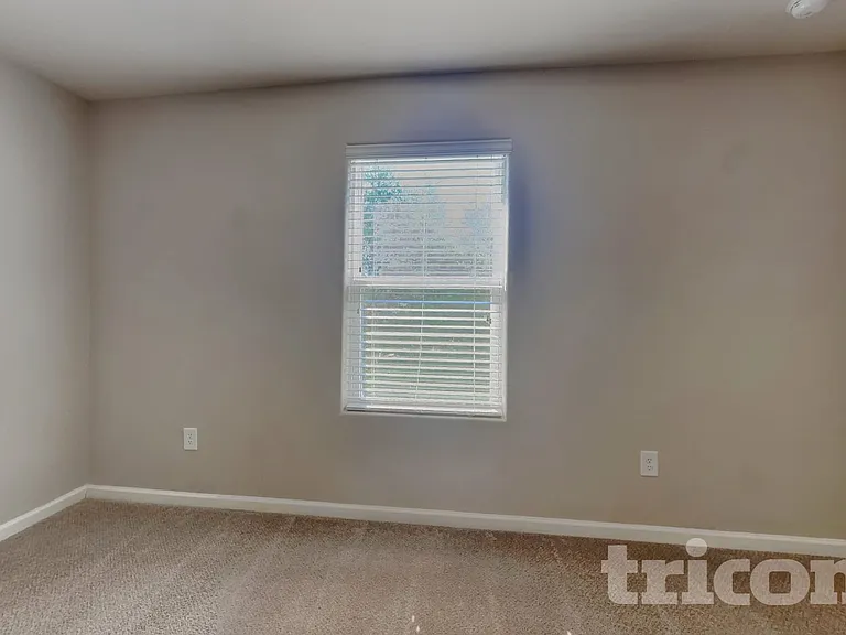 4217 Piedmont Farms Way — Photo 12