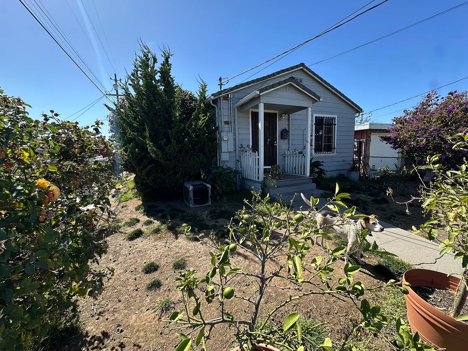 1 bed, 600 sqft, $2,100 — Photo 1