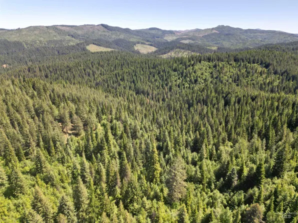 0 McGary Butte Road Usfs Rd #3308, Bovill, ID 83806