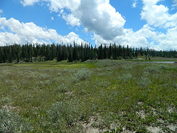 4th image of 2728 E Meadow Lake Dr Lot 1