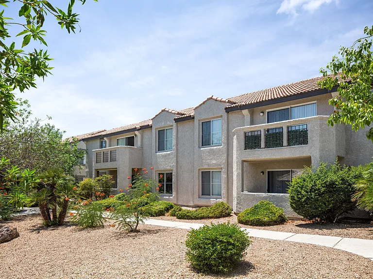 Sahara West — Photo 19