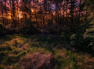 NE 47th Pl, Silver Springs, FL 34488
