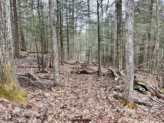 5th image of 0 Packard Rd