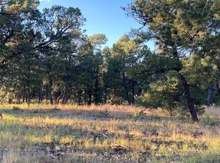 47 Silver Feather Trl, Pecos, NM 87552